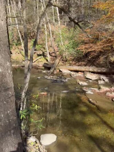 Holly Creek Picnic Area - Chatsworth, GA