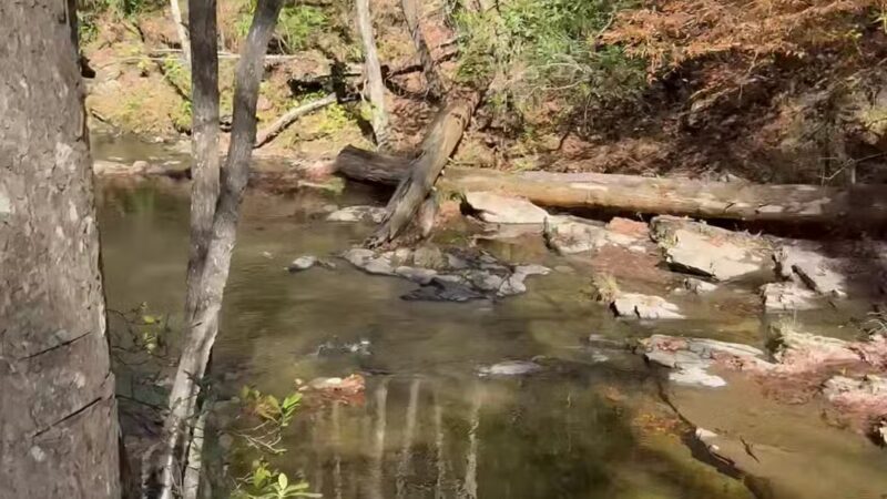 Holly Creek Picnic Area - Chatsworth, GA