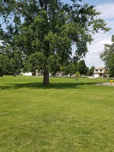 Dartwood Park - Cheektowaga, NY