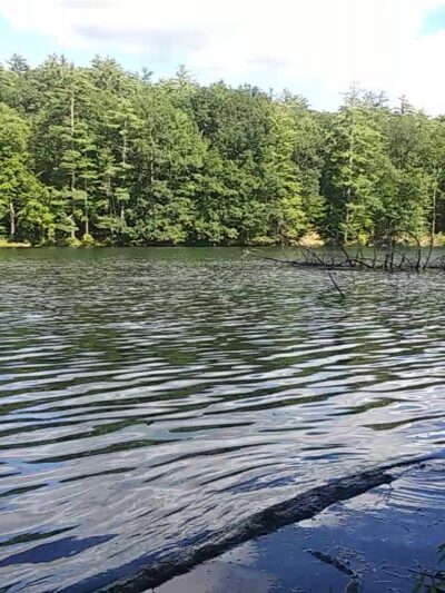 Chenango Valley State Park - Chenango Forks, NY