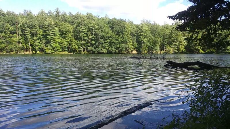 Chenango Valley State Park - Chenango Forks, NY