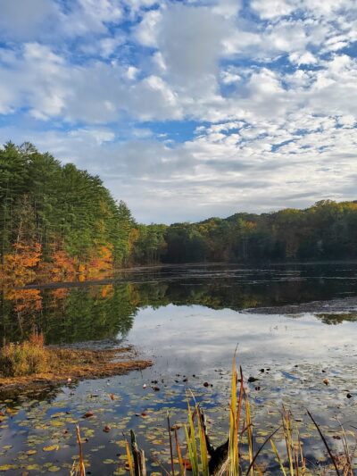 Chenango Valley State Park - Chenango Forks, NY