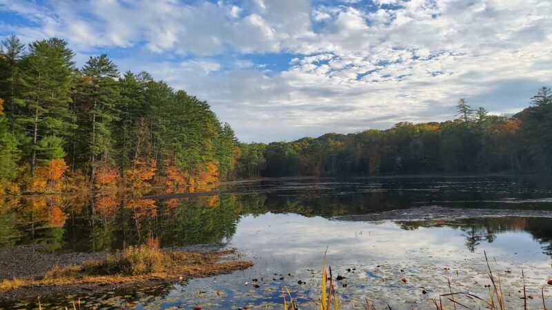 Chenango Valley State Park - Chenango Forks, NY