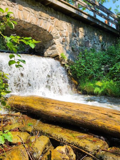 Chenango Valley State Park - Chenango Forks, NY