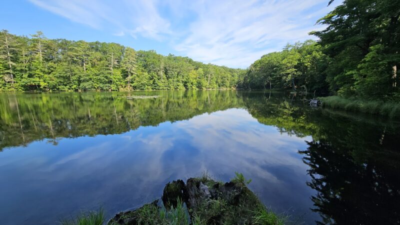 Chenango Valley State Park - Chenango Forks, NY