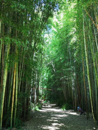 Oconaluftee Island Park - Cherokee, NC