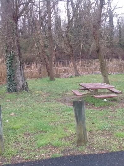 Chesapeake city park - Chesapeake City, MD