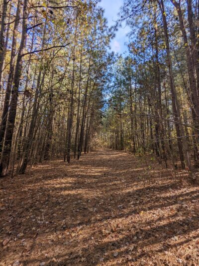 Creekwood South Park - Chesapeake, VA