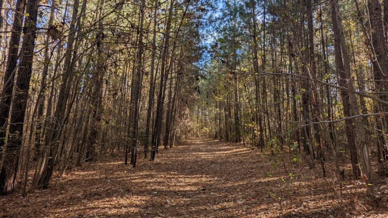Creekwood South Park - Chesapeake, VA