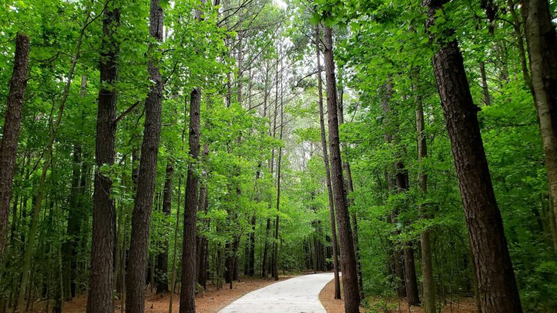 Oak Grove Lake Park - Chesapeake, VA