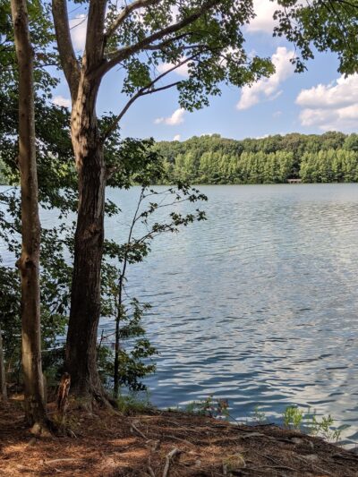 Oak Grove Lake Park - Chesapeake, VA