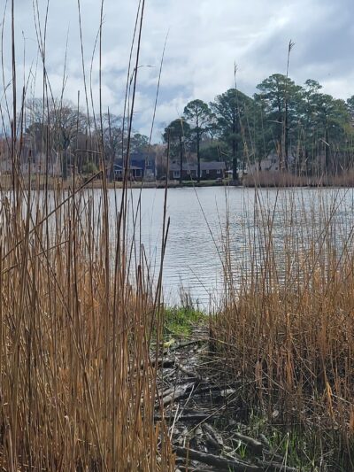 Plymouth Park - Chesapeake, VA