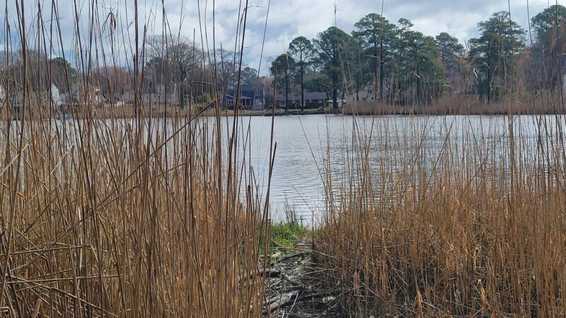 Plymouth Park - Chesapeake, VA