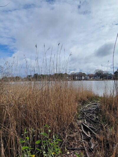 Plymouth Park - Chesapeake, VA