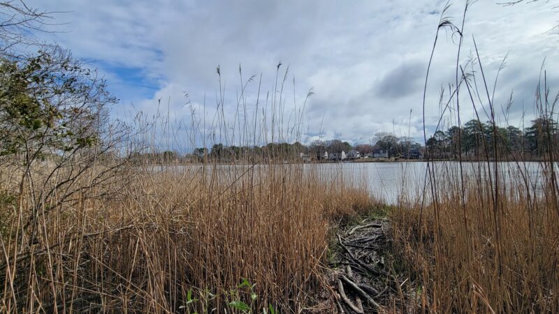 Plymouth Park - Chesapeake, VA