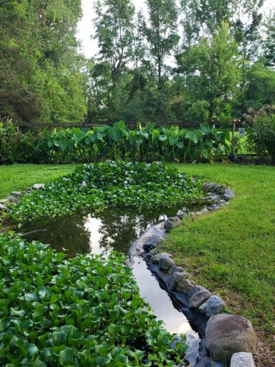 Sawyers Mill Park - Chesapeake, VA