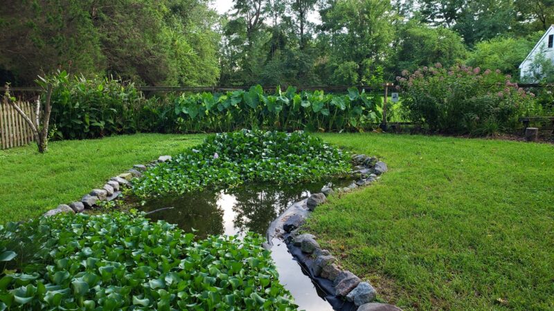 Sawyers Mill Park - Chesapeake, VA