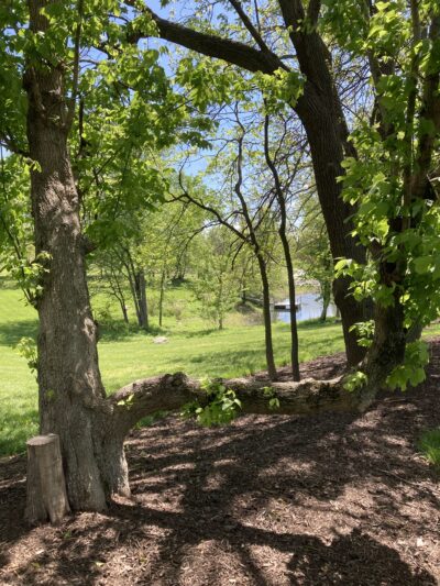 Eberwein Park - Chesterfield, MO