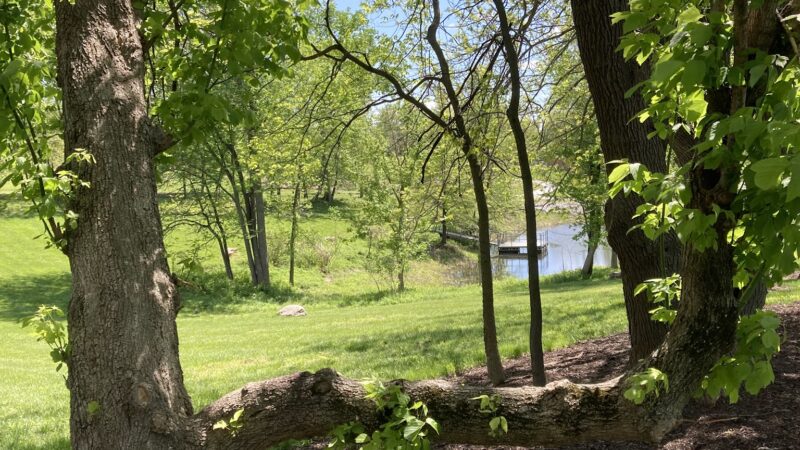 Eberwein Park - Chesterfield, MO