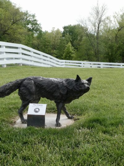 Eberwein Park - Chesterfield, MO