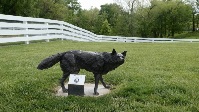 Eberwein Park - Chesterfield, MO