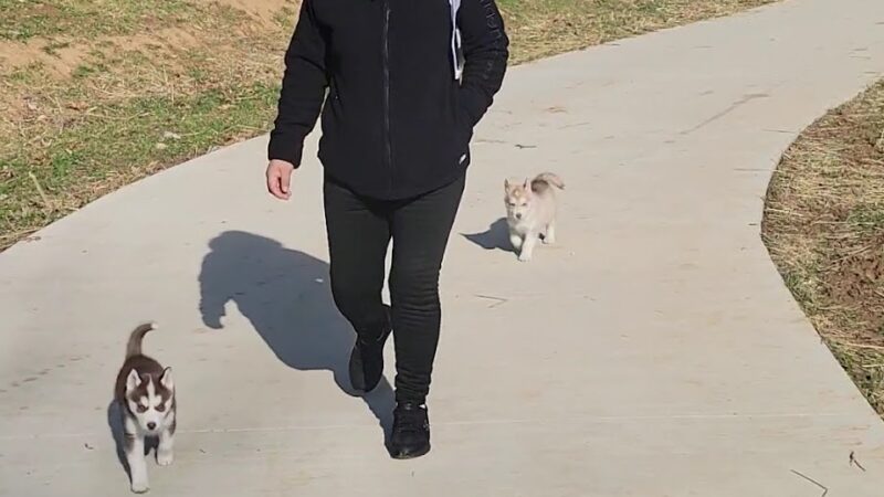 Eberwein Park - Chesterfield, MO