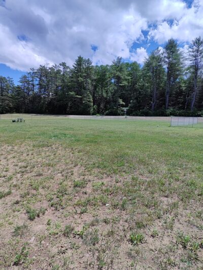 Chestertown Dog Park - Chestertown, NY