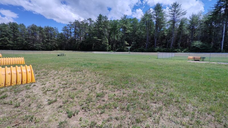 Chestertown Dog Park - Chestertown, NY