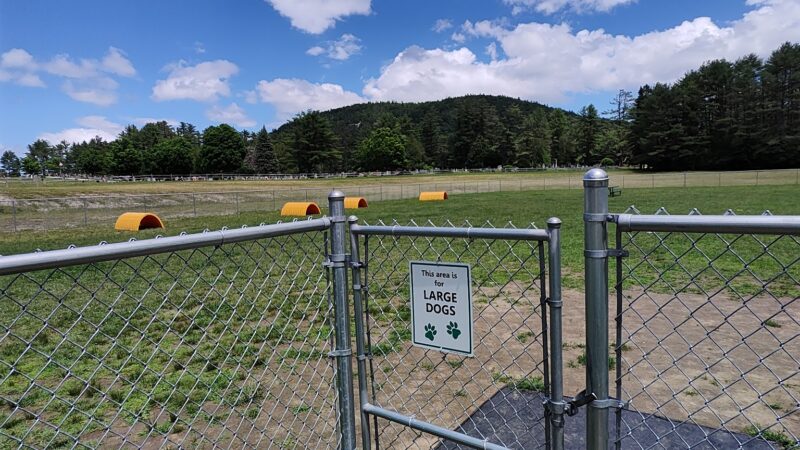 Chestertown Dog Park - Chestertown, NY