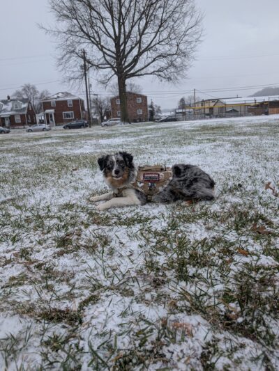 Acme Park - Cheswick, PA