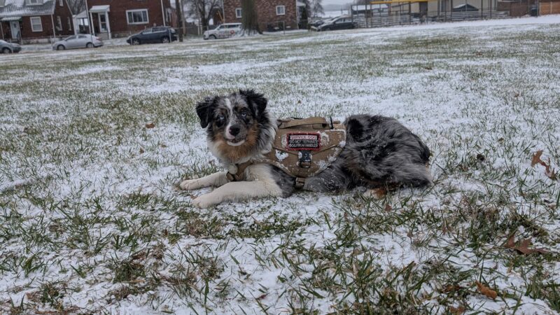 Acme Park - Cheswick, PA