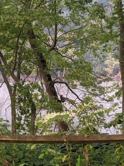 Rachel Carson Riverfront Park - Cheswick, PA