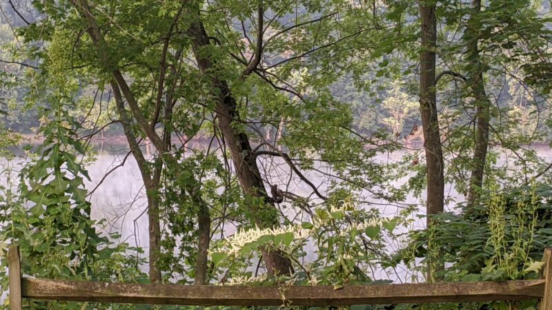 Rachel Carson Riverfront Park - Cheswick, PA