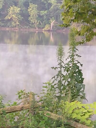 Rachel Carson Riverfront Park - Cheswick, PA