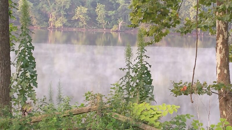 Rachel Carson Riverfront Park - Cheswick, PA
