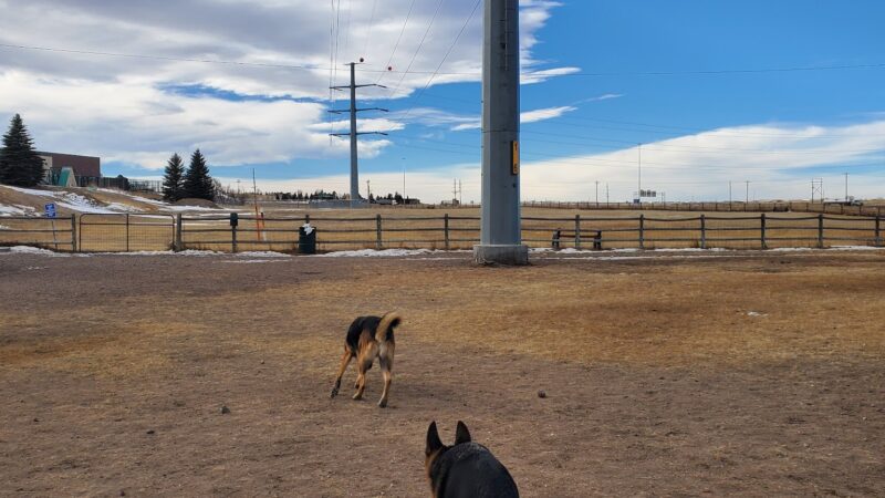 Dog Park at the Animal Shelter - Cheyenne, WY
