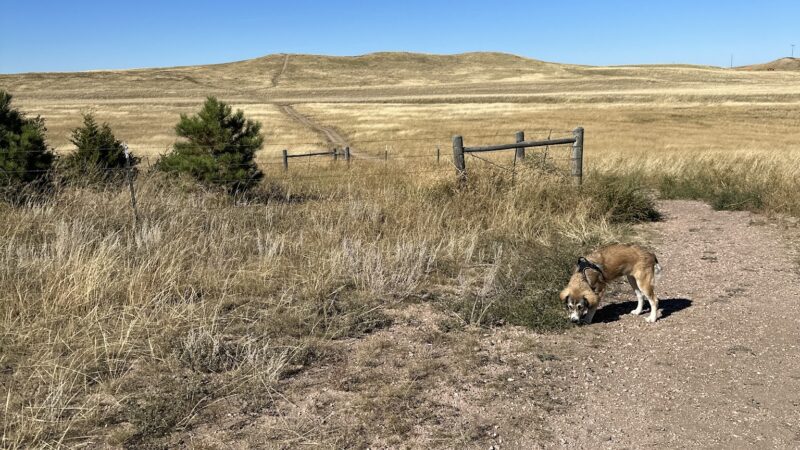 Let the dogs run dog park - Cheyenne, WY