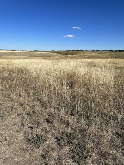Let the dogs run dog park - Cheyenne, WY