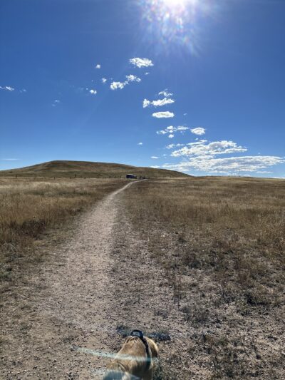 Let the dogs run dog park - Cheyenne, WY