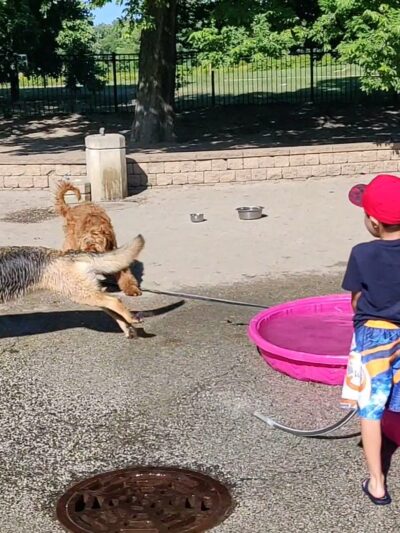 Margate Park Puptown Dog Park - Chicago, IL