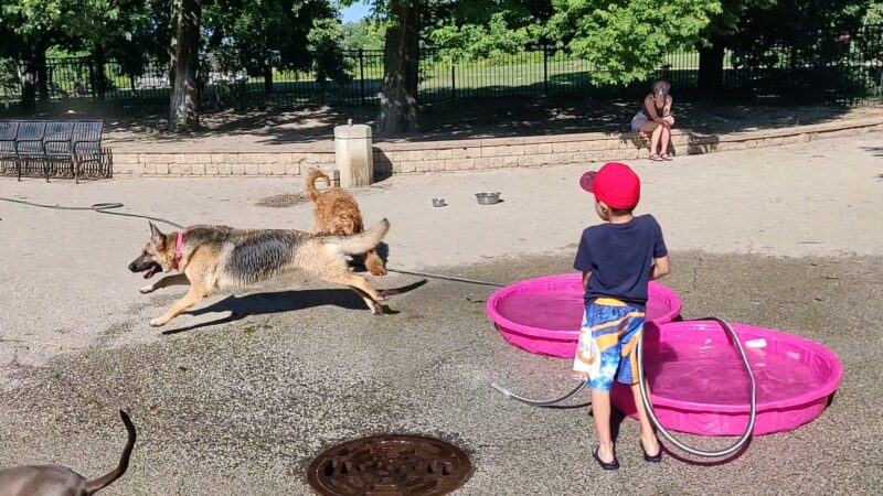 Margate Park Puptown Dog Park - Chicago, IL