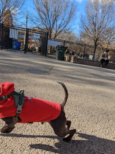 Margate Park Puptown Dog Park - Chicago, IL