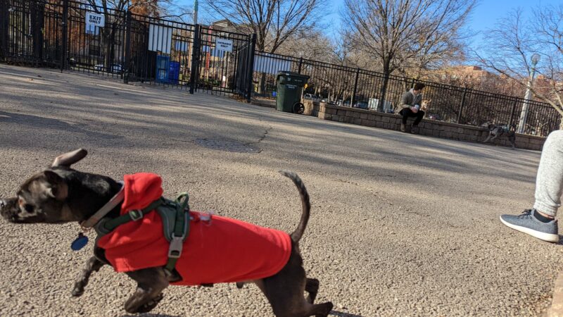 Margate Park Puptown Dog Park - Chicago, IL
