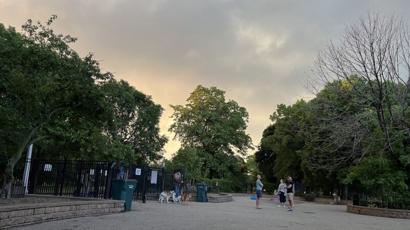 Margate Park Puptown Dog Park - Chicago, IL