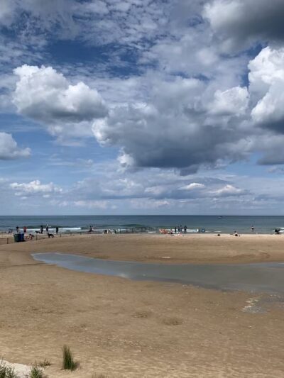 Montrose Dog Park - Chicago, IL