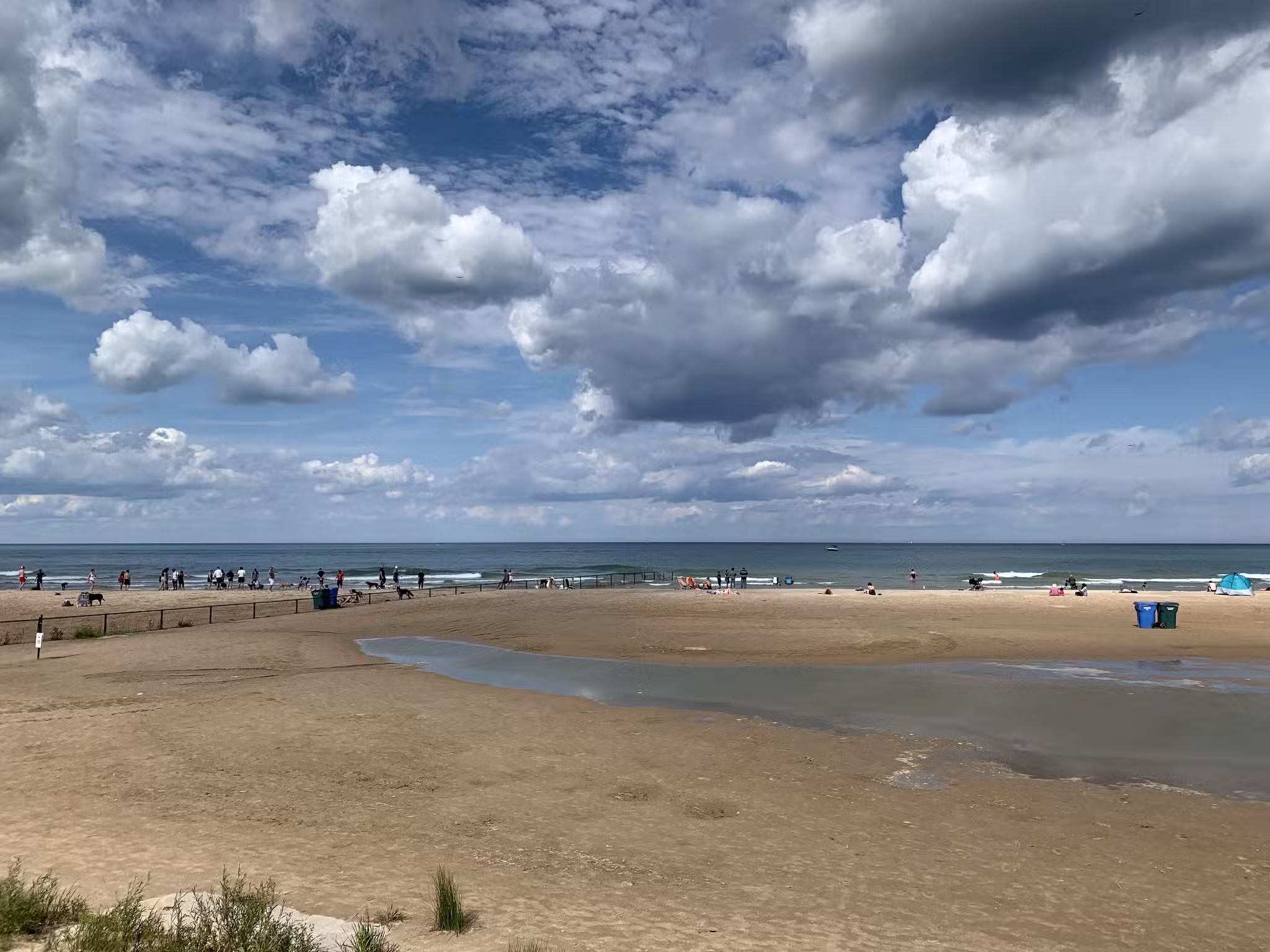 Montrose Dog Park - Chicago, IL