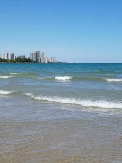 Montrose Dog Park - Chicago, IL