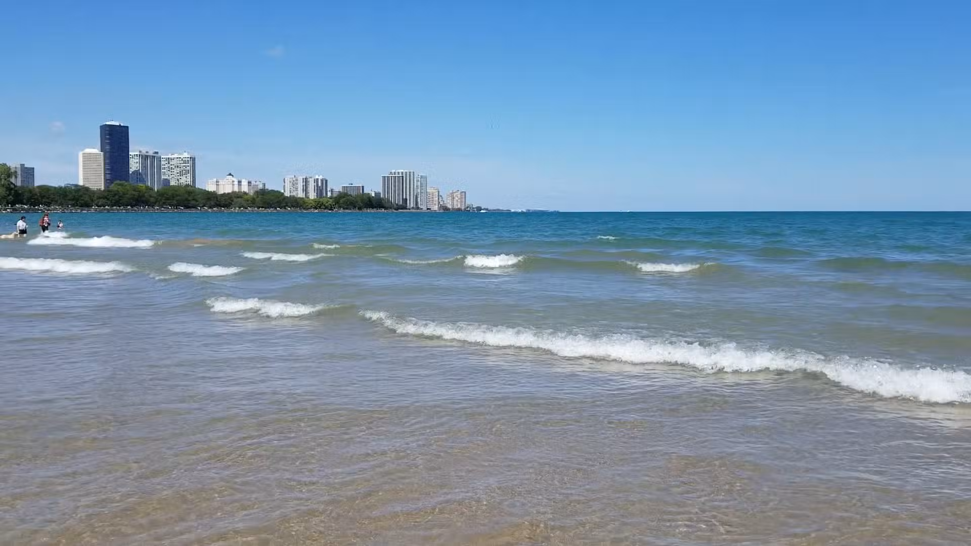 Montrose Dog Park - Chicago, IL