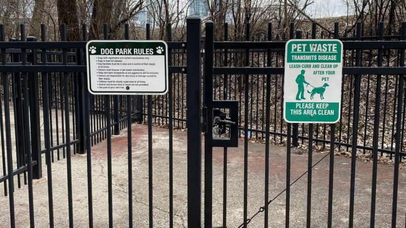 16th & Prairie Dog Park - Chicago, IL