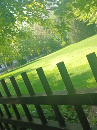 16th & Prairie Dog Park - Chicago, IL